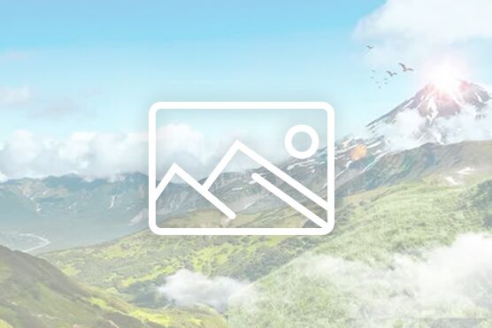 除了蔬菜配送,有沒有配送其它調味調料糧油那些呢?