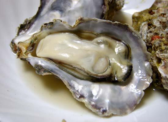 鮮活水產(chǎn)類：甲魚(yú)