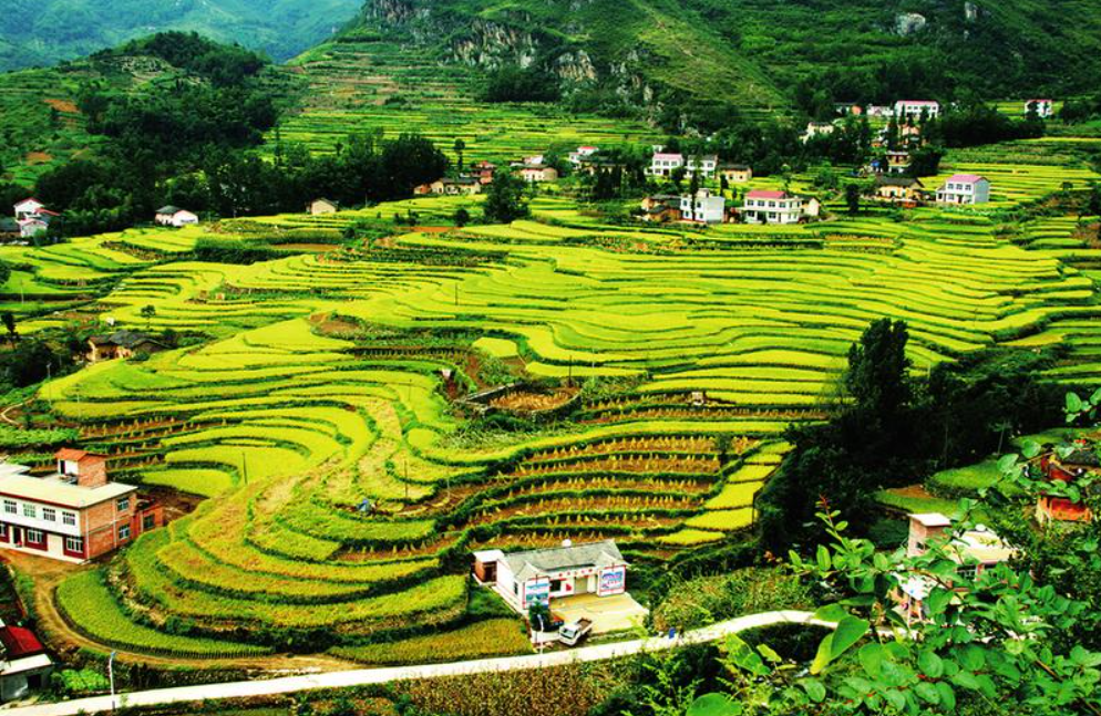 惠州蔬菜配送中心分享報道：陜西為改善農(nóng)村人居環(huán)境持續(xù)發(fā)力