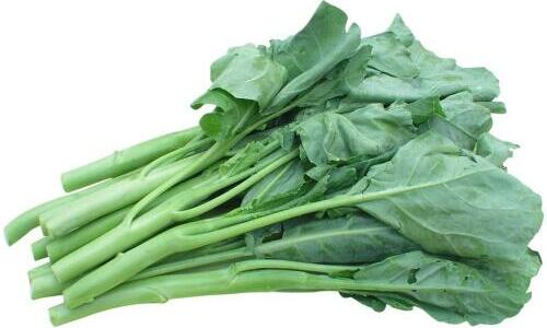 1760173568.jpg tupian_jielan2.jpg