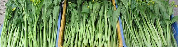 1760174825.jpg tupian_caixin2.jpg