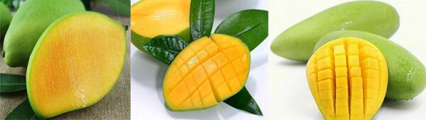 1760176666.jpg tupian_mangguo4.jpg