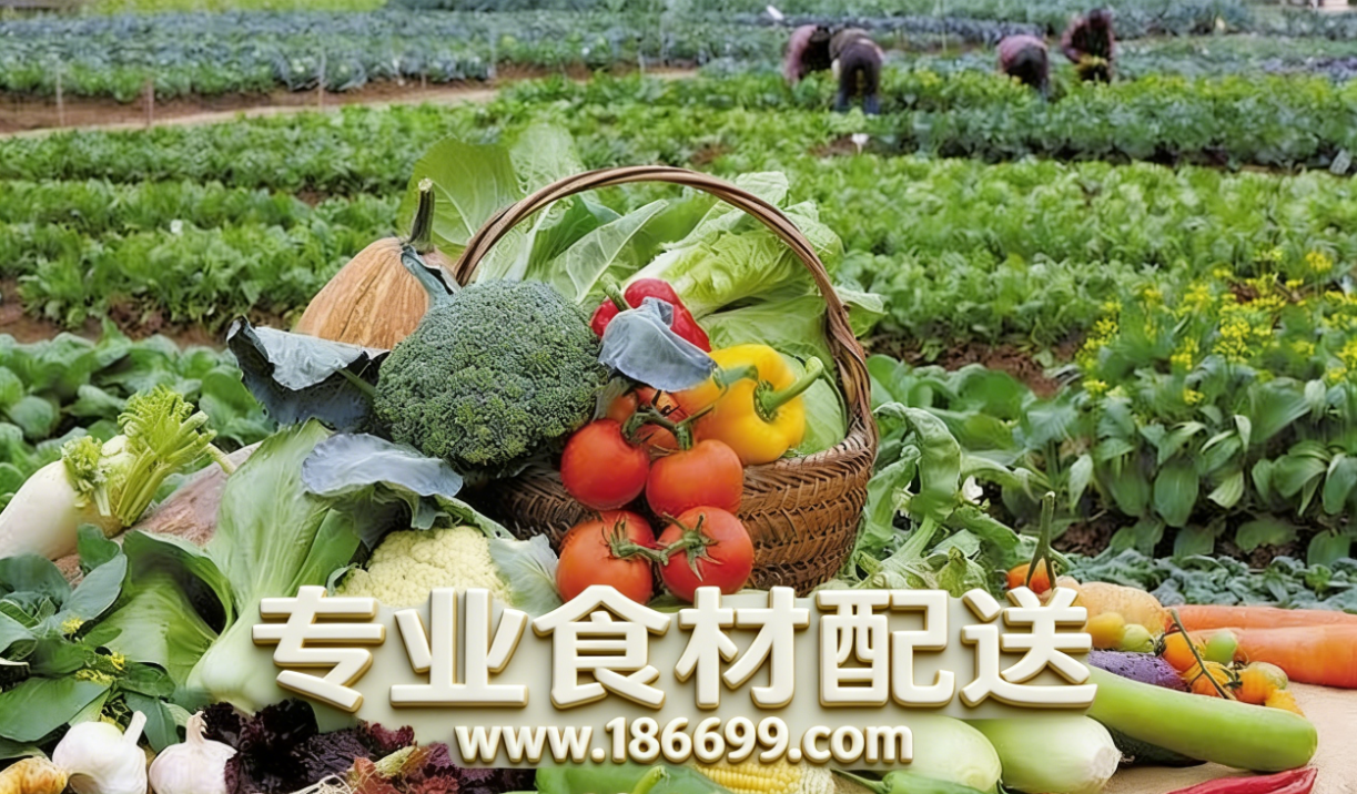 惠州食材供應鏈為您普及：冬季夏季的蔬菜營養有什么差別？