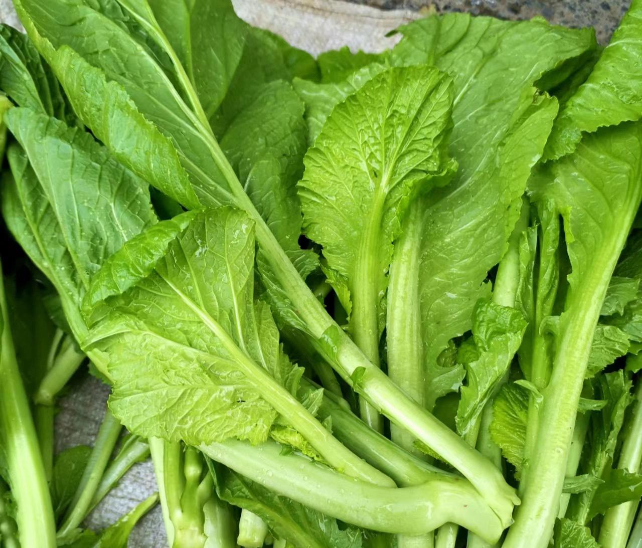 深圳蔬菜配送公司科普：為什么冷凍蔬菜不宜反復解凍冷凍？