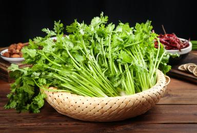 香芹西芹老是分不清？惠州食材配送中心教你區分！