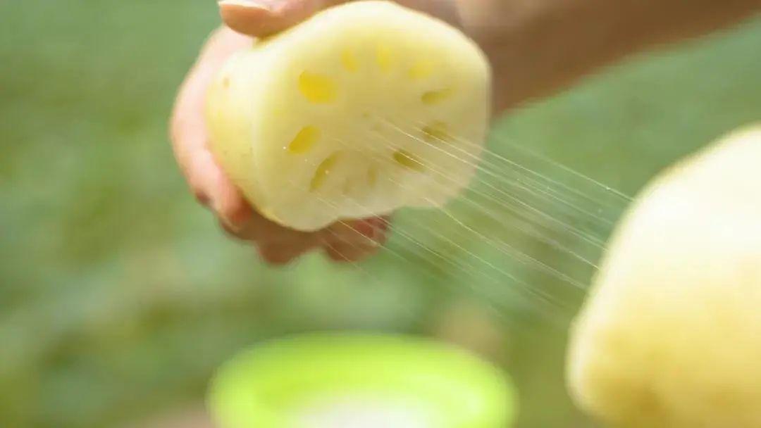 藕斷為什么會(huì)絲連呢，東莞食材生鮮配送中心與您談一談